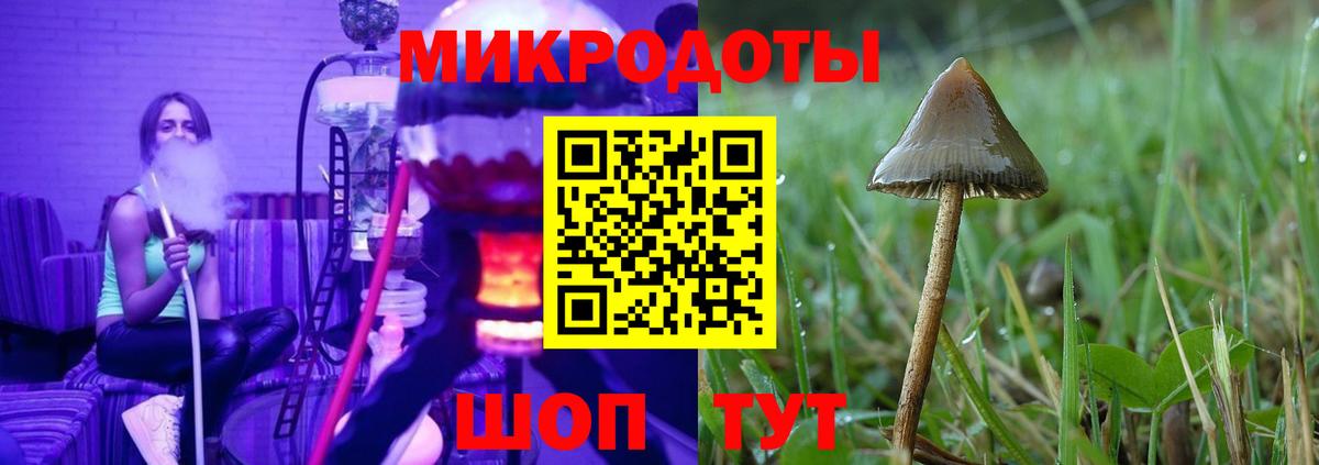 Лянтор  Галлюциногенные грибы Psilocybe  Псилоцибиновые грибы мицелий  Вход с VPN 